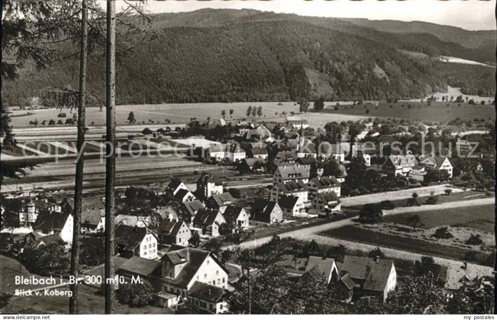 41815084 Bleibach Panorama Blick Vom Koberg Bleibach - Gutach (Breisgau)