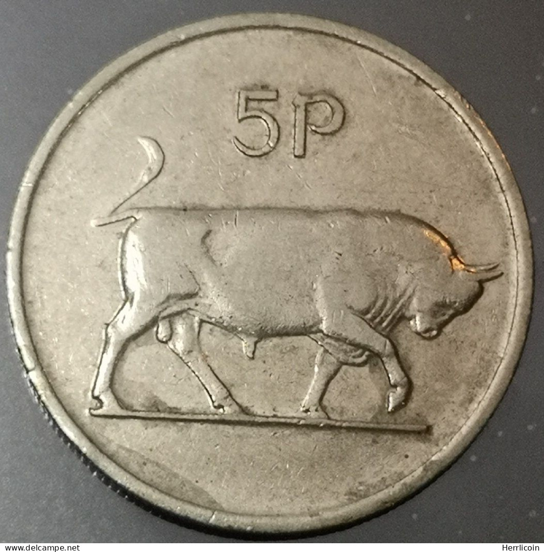 Monnaie Irlande - 1982 - 5 Pence Type Large - Irlanda