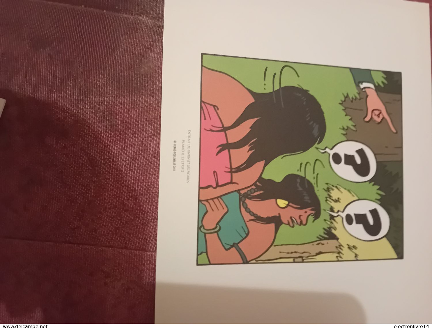 Ex Libris 20x24 Cm Extrait De Tintin Et Les Picaros Planche 33 Strip 2 - Illustrateurs G - I