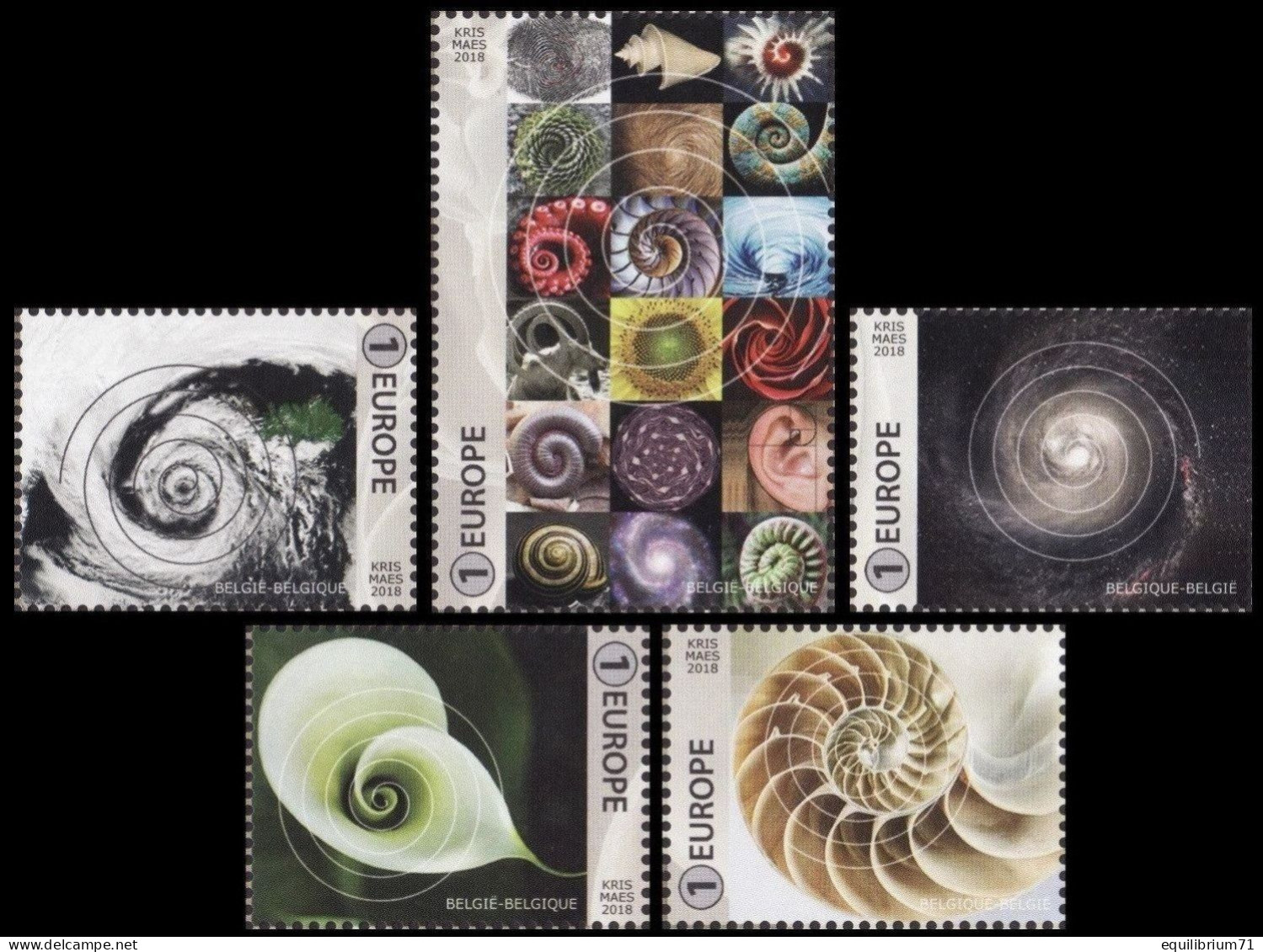 4785/4789**(BL265) - Géométrie Dans La Nature. La Forme En Spirale / Geometrie In De Natuur. De Spiraalvorm - EUROPE - Fossils