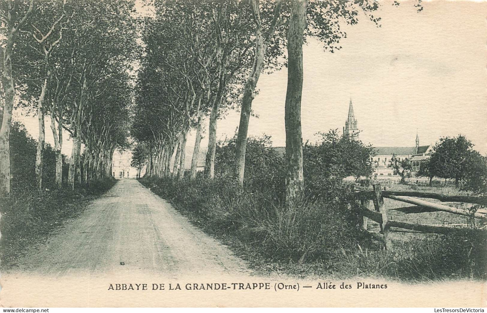 FRANCE - Abbaye De La Grande Trappe - Allée Des Platanes - Carte Postale Ancienne - Andere & Zonder Classificatie