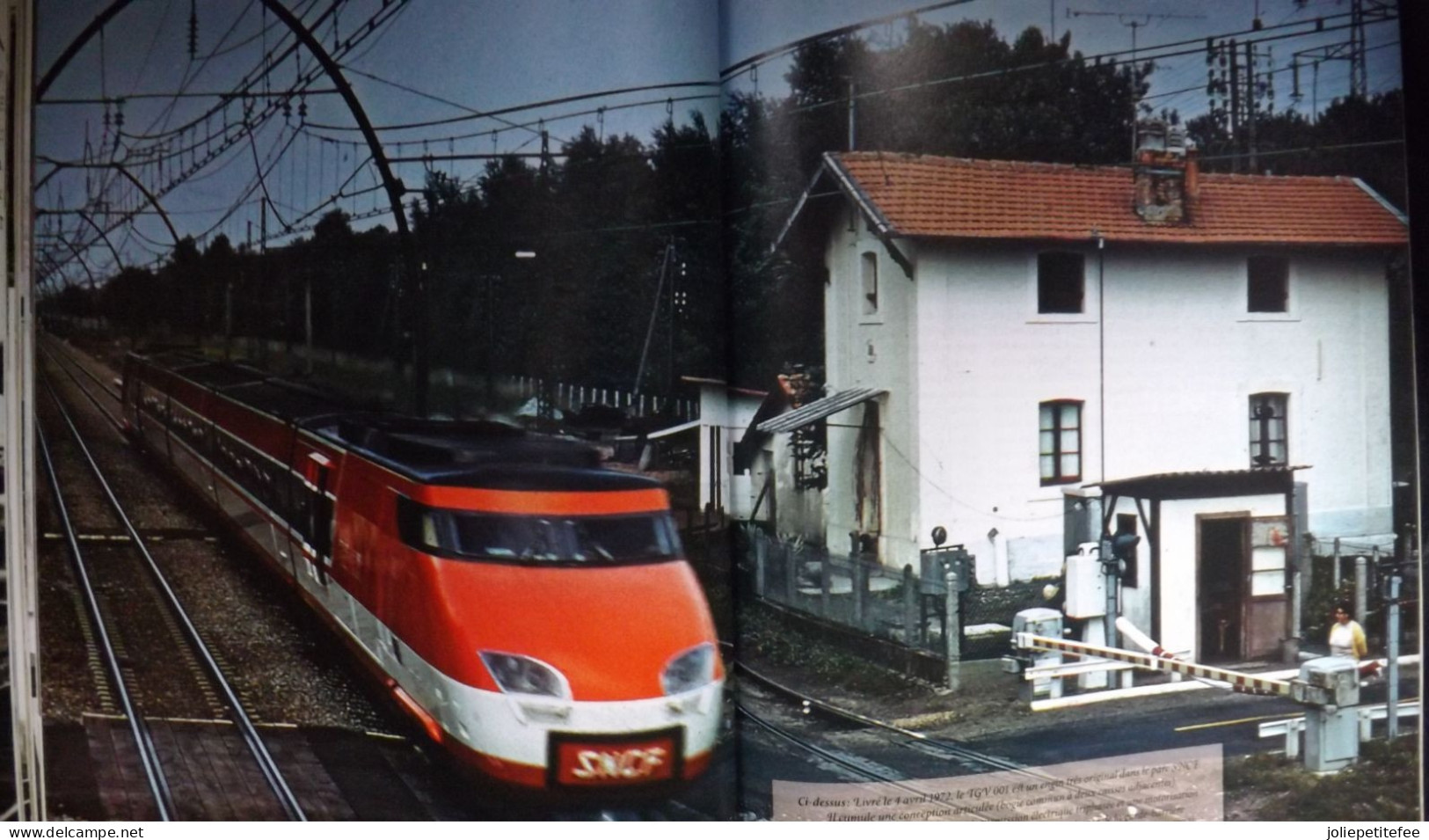 N°19 - 2005:Revue. CORRESPONDANCES FERROVIAIRES: 1-230 De L'Est: Le Chant Du Cygne.... - Eisenbahnen & Bahnwesen