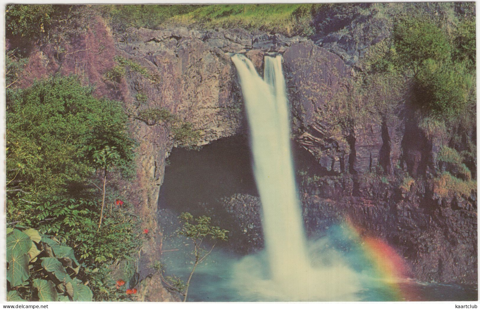 Island Of Hawaii - Rainbow Falls - (USA) - Hilo