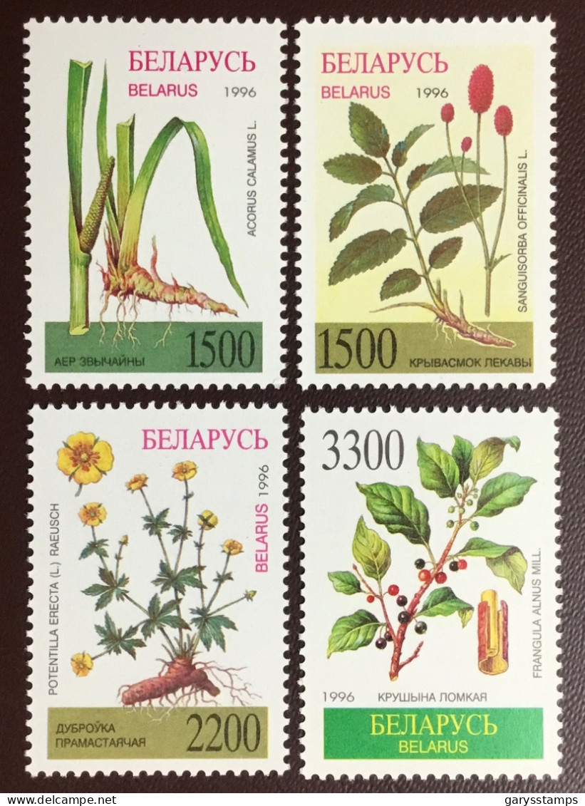 Belarus 1996 Medicinal Plants MNH - Piante Medicinali