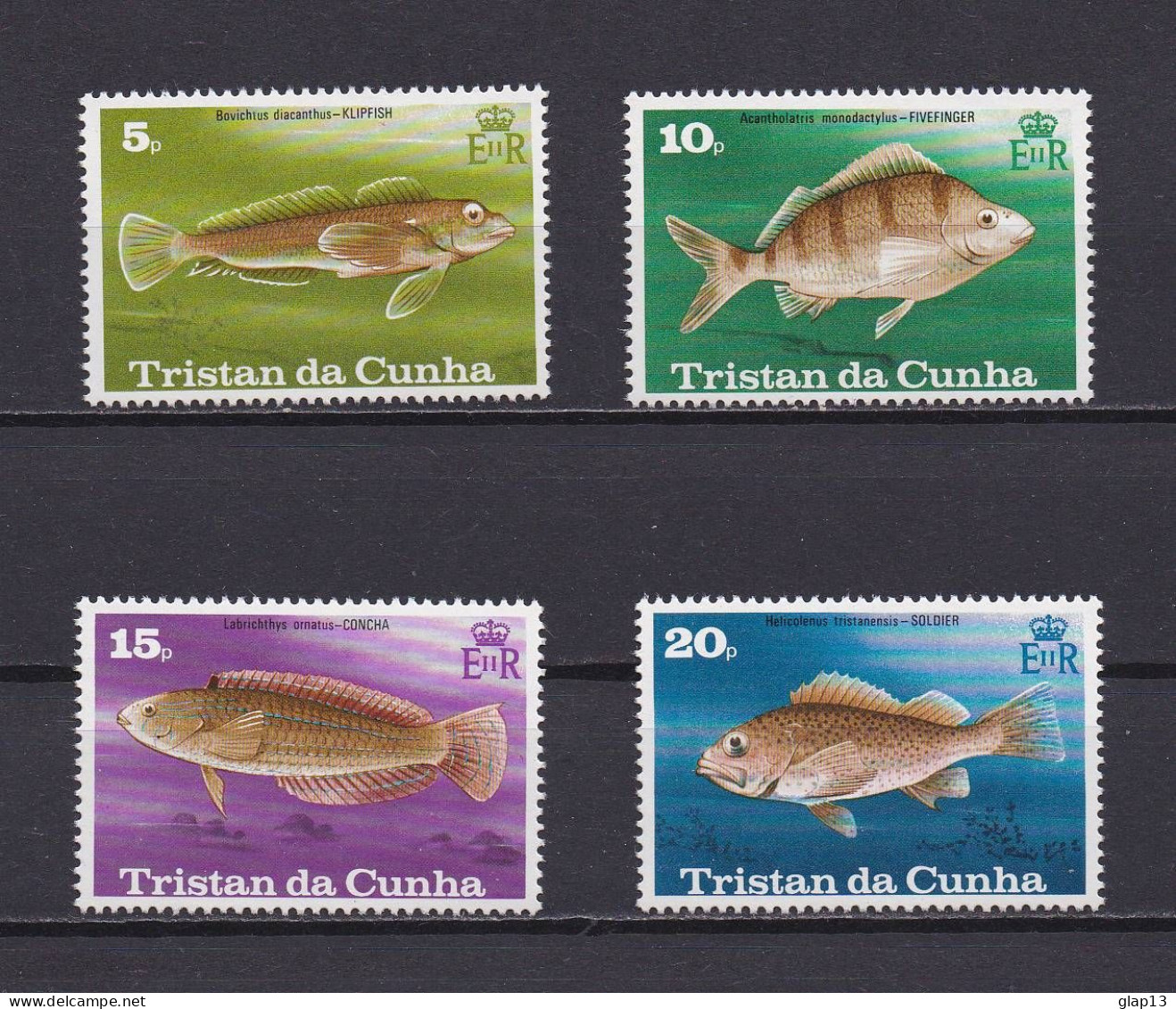 TRISTAN DA CUNHA 1978 TIMBRE N°244/47 NEUF** POISSONS - Tristan Da Cunha