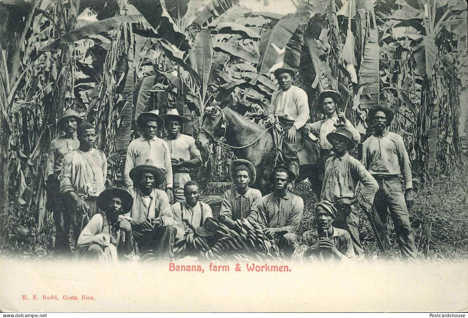 COSTA RICA  BANANA FARM & WORKMEN ED. RUDD - Costa Rica