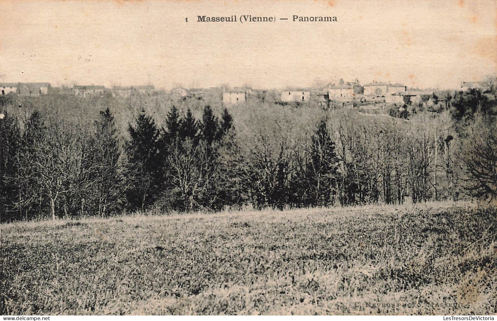 FRANCE - Masseuil - Panorama - Carte Postale Ancienne - Sonstige & Ohne Zuordnung