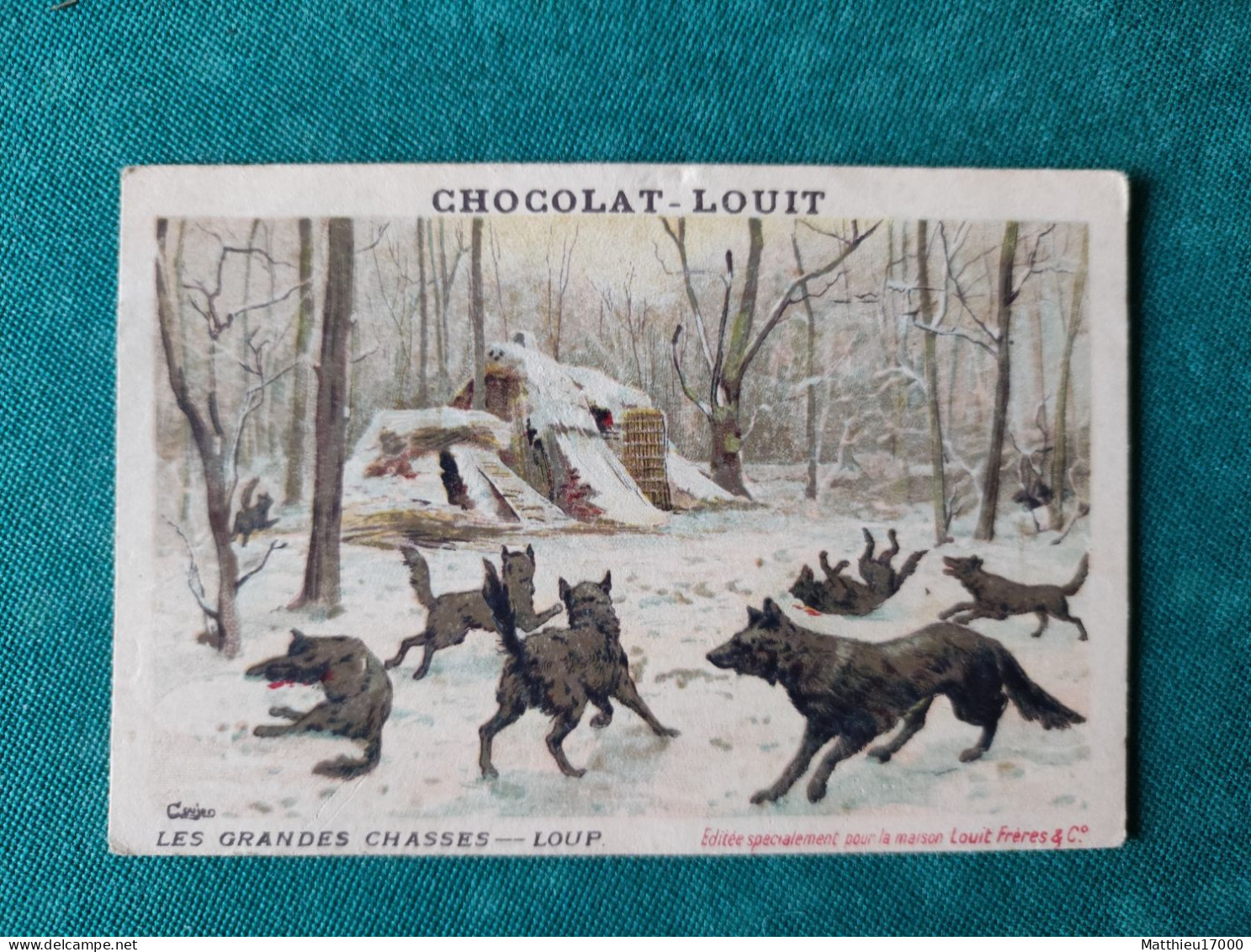 Chromo - CHOCOLAT-LOUIT - Les Grandes Chasses -- LOUP - Louit