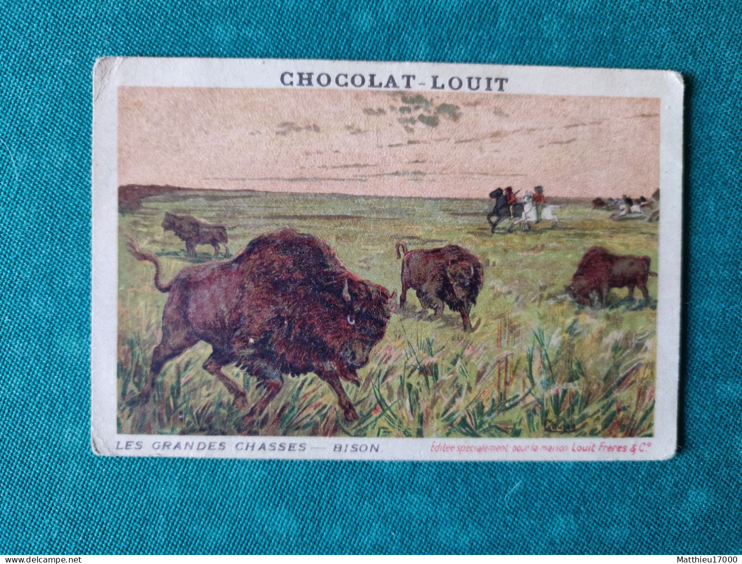 Chromo - CHOCOLAT-LOUIT - Les Grandes Chasses -- BISON - Louit