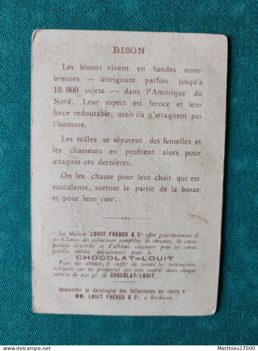 Chromo - CHOCOLAT-LOUIT - Les Grandes Chasses -- BISON - Louit