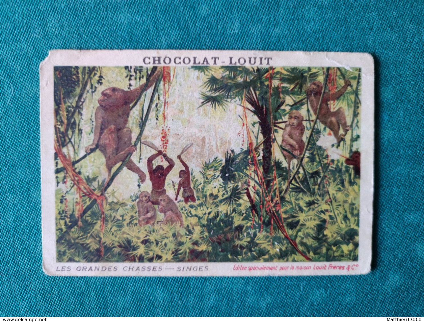 Chromo - CHOCOLAT-LOUIT - Les Grandes Chasses -- SINGES - Louit