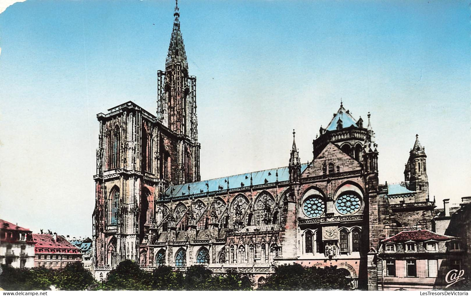 FRANCE - Strasbourg - Cathédrale - Côté Sud - Carte Postale - Strasbourg
