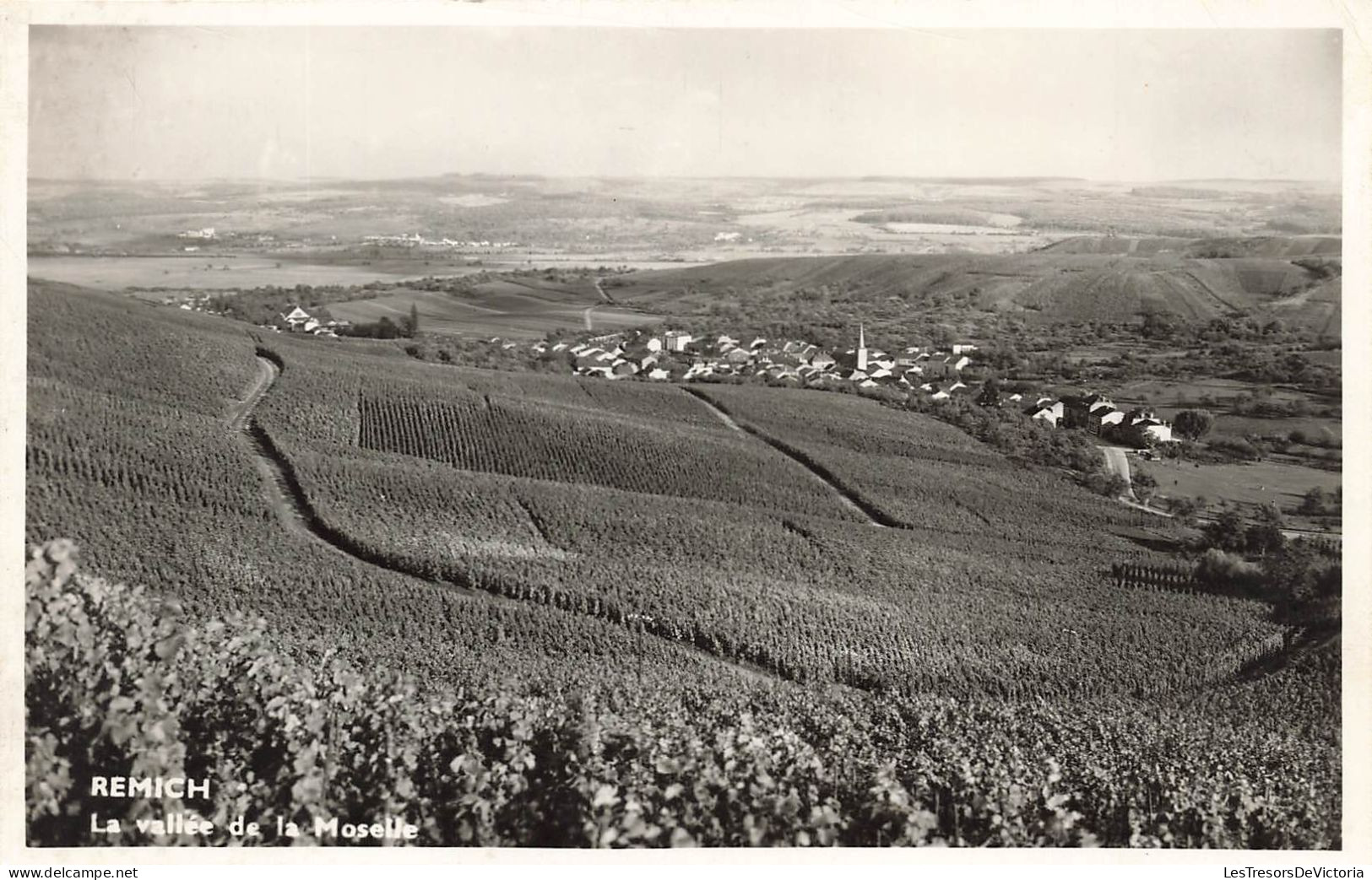 LUXEMBOURG - Remich - Vallée De La Moselle - Carte Postale - Remich