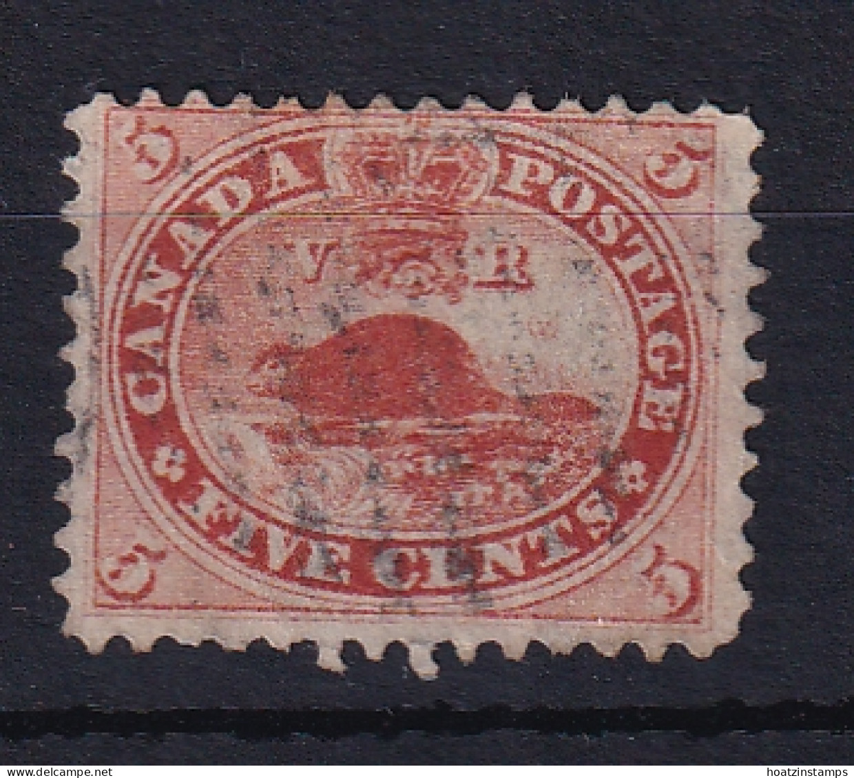 Colony Of Canada: 1859   American Beaver   SG31   5c   Pale Red    Used - Unclassified