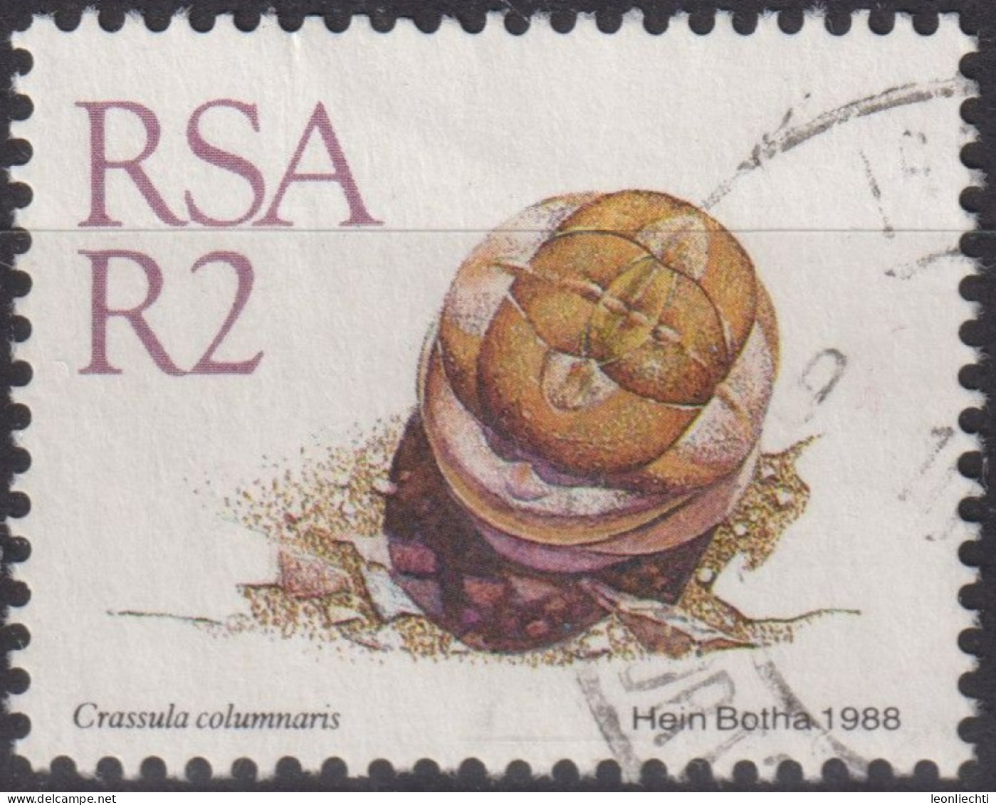 1988 RSA Südafrika ° Mi:ZA 757, Sn:ZA 752, Yt:ZA 674, Crassula Columnaris, Freimarken - Sukkulenten - Gebruikt