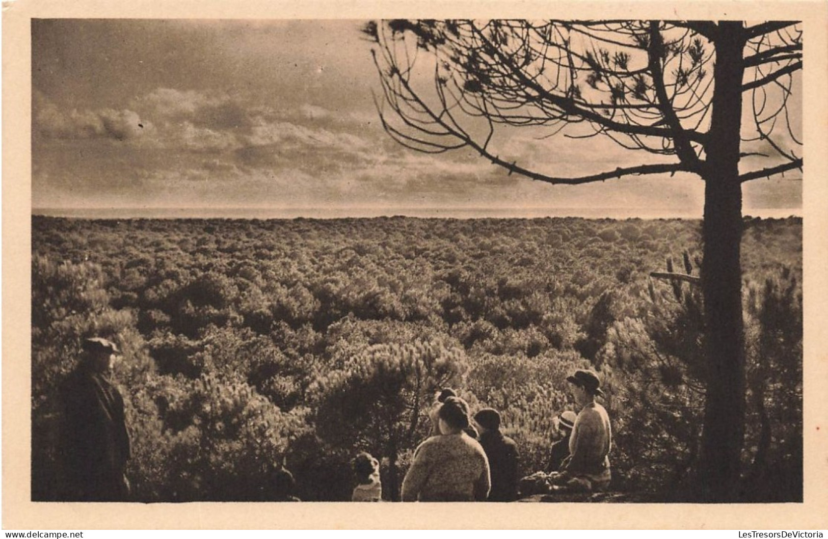 FRANCE - Sion Sur L'Océan - Au-dessus De La Forêt De Pins Belle Vue Dominant La Mer - Carte Postale Ancienne - Sonstige & Ohne Zuordnung