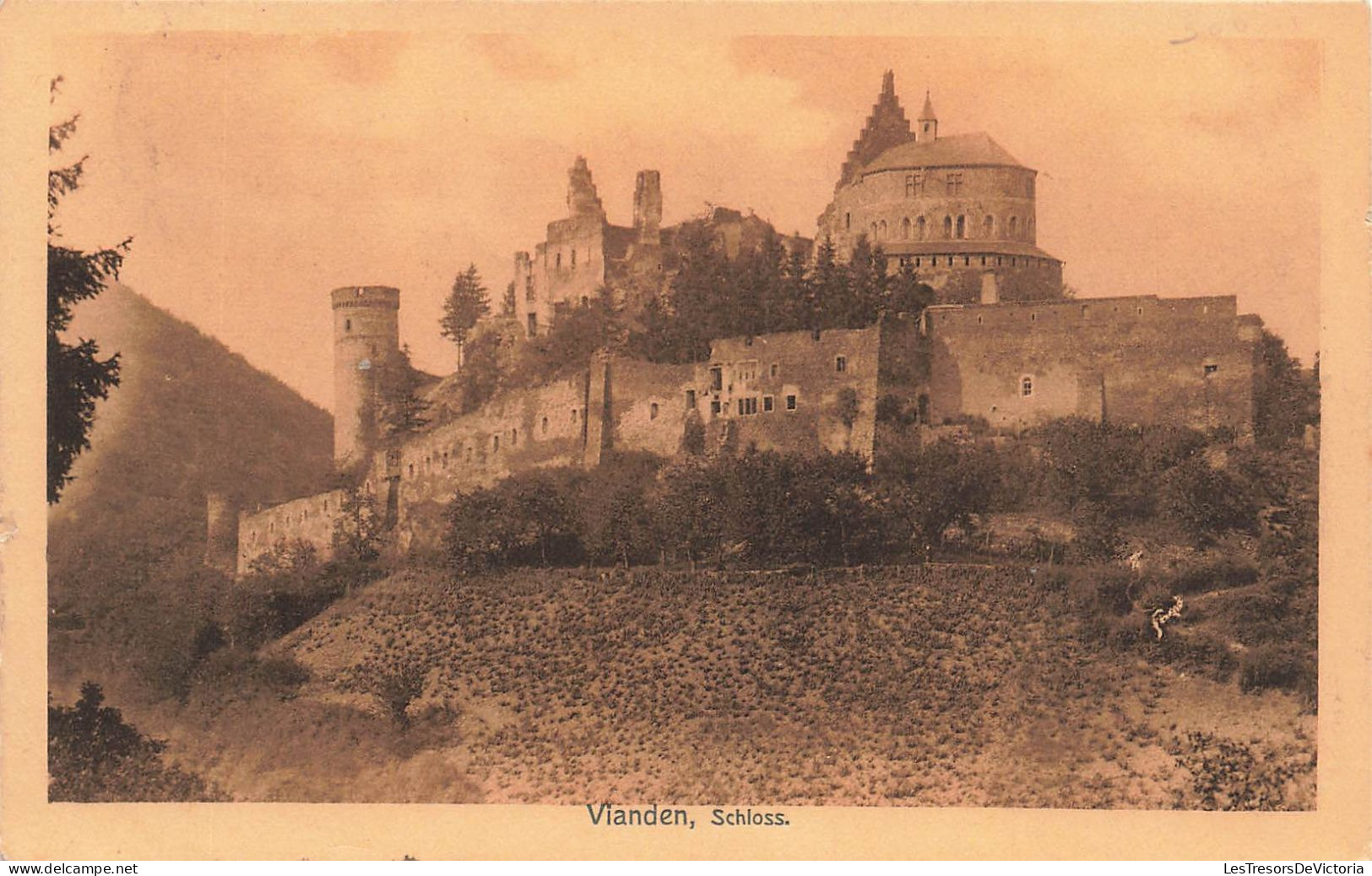 LUXEMBOURG - Vianden - Schloss - Carte Postale  Ancienne - Vianden