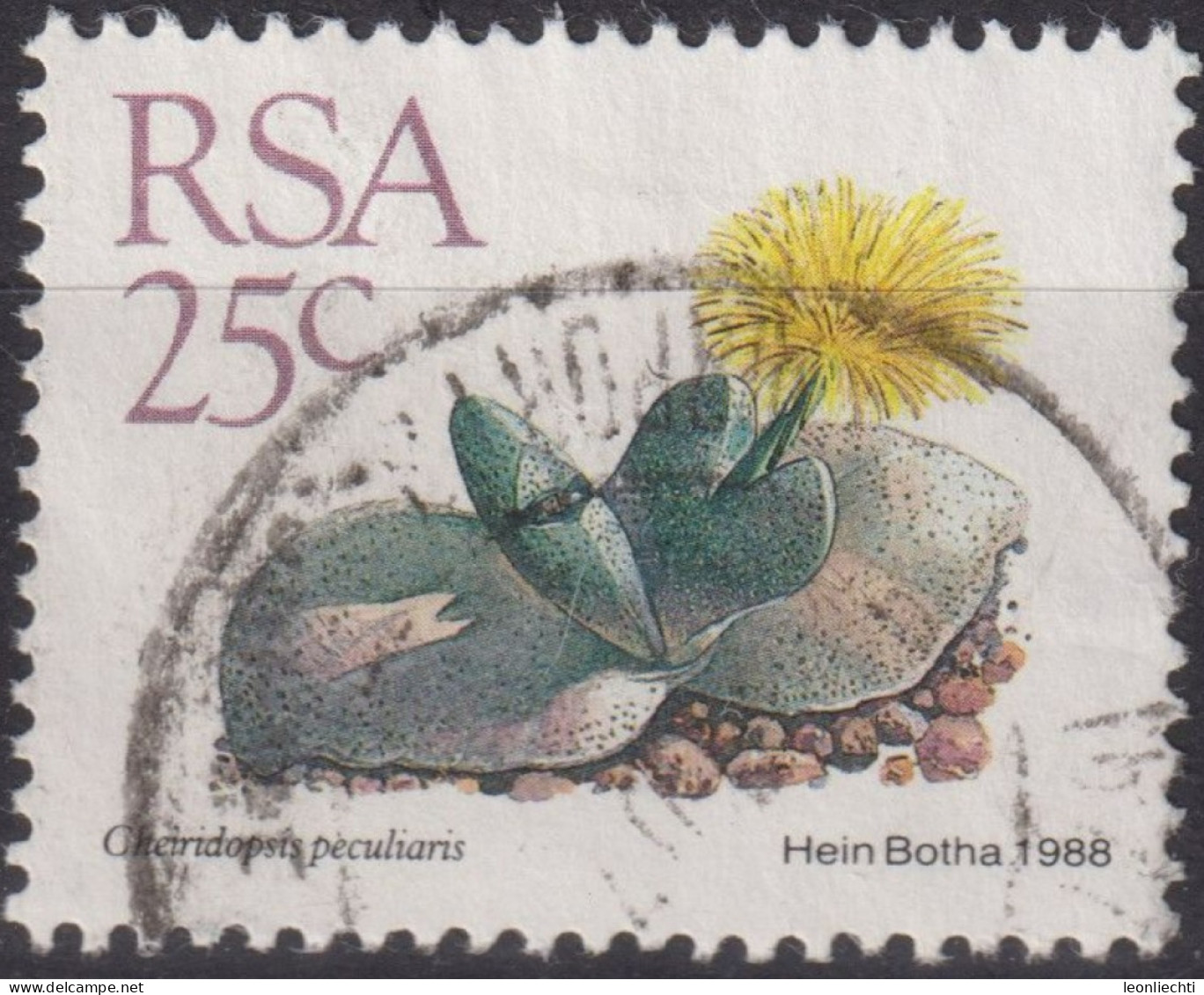 1988 RSA Südafrika ° Mi:ZA 750, Sn:ZA 744, Yt:ZA 667, Cheiridopsis Peculiaris, Freimarken - Sukkulenten - Oblitérés