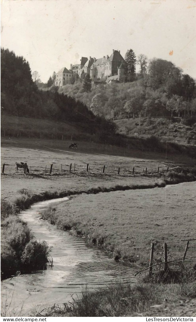 LUXEMBOURG - Wiltz - Le Château - Carte Postale  Ancienne - Wiltz