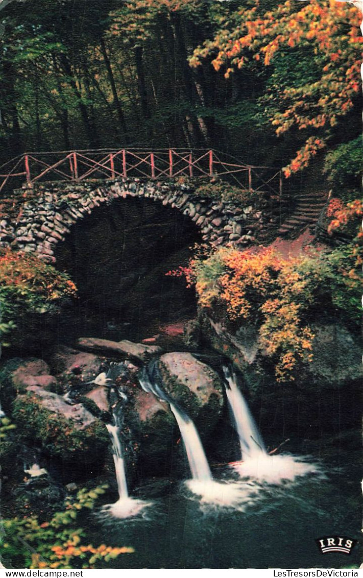 LUXEMBOURG - Mullerthal - Schiessentümpel - Carte Postale - Müllerthal