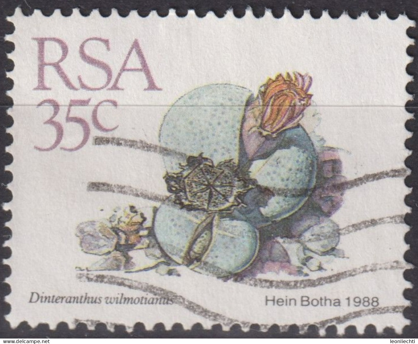 1988 RSA Südafrika ° Mi:ZA 752, Sn:ZA 746, Yt:ZA 669, Dinteranthus Wilmotianus, Freimarken - Sukkulenten - Gebraucht