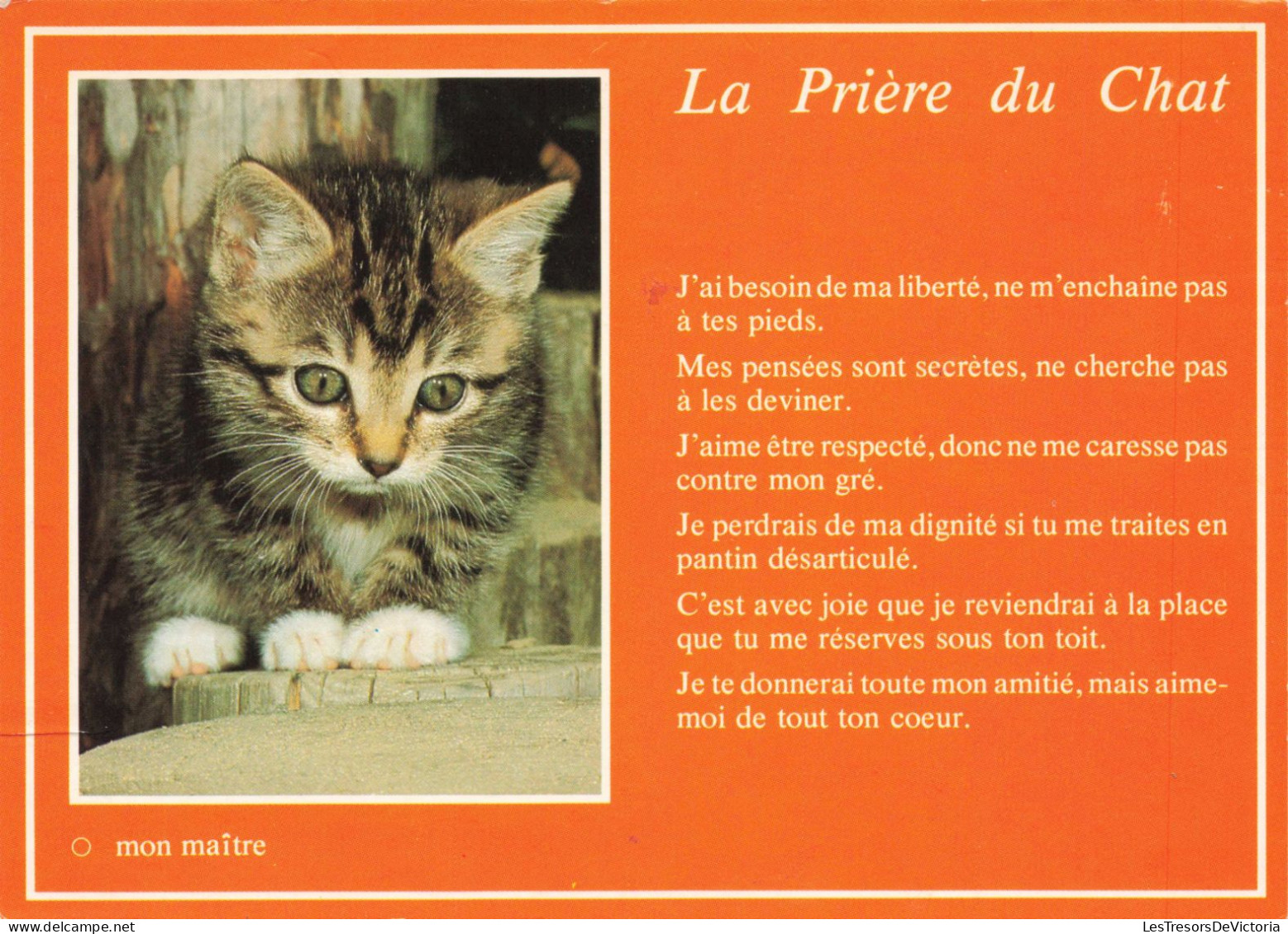 ANIMAUX & FAUNE - Chats - La Prière Du Chat - Carte Postale Ancienne - Cats