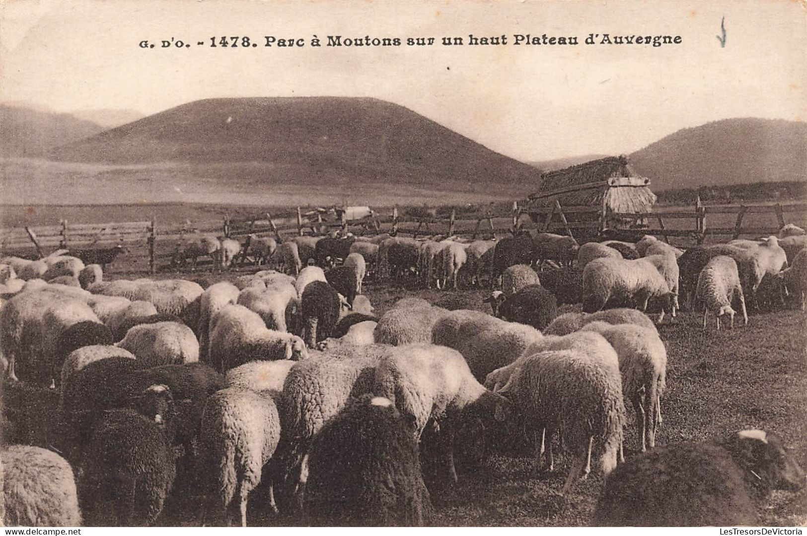 FRANCE - Auvergne - Parc à Moutons Sur Un Haut Plateau D'Auvergne - Carte Postale Ancienne - Auvergne Types D'Auvergne