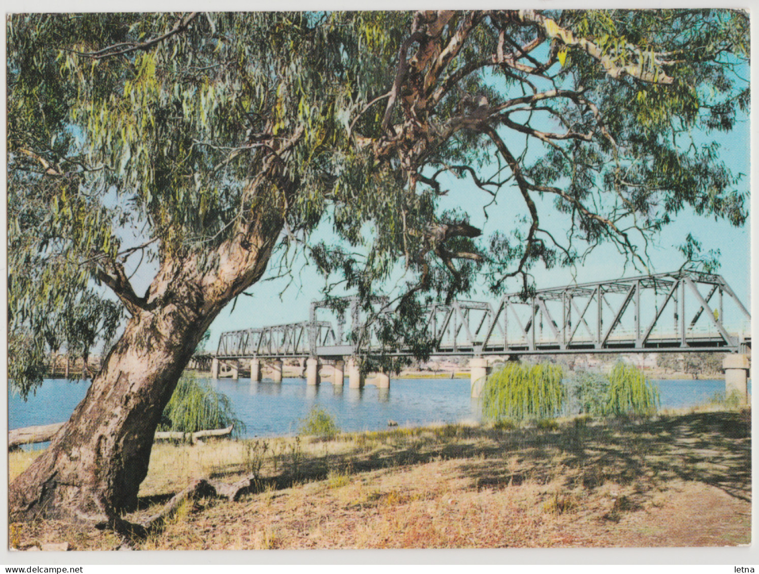 Australia VICTORIA VIC Bridge Over Murray River MILDURA Murfett 8PS219 Postcard C1970s - Mildura