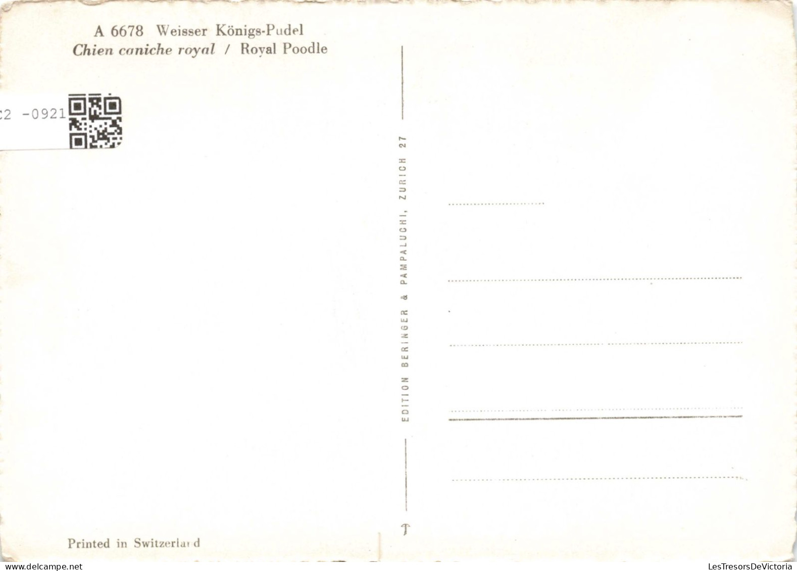 ANIMAUX & FAUNE - Chiens - Chien Corniche Royal - Carte Postale Ancienne - Chiens