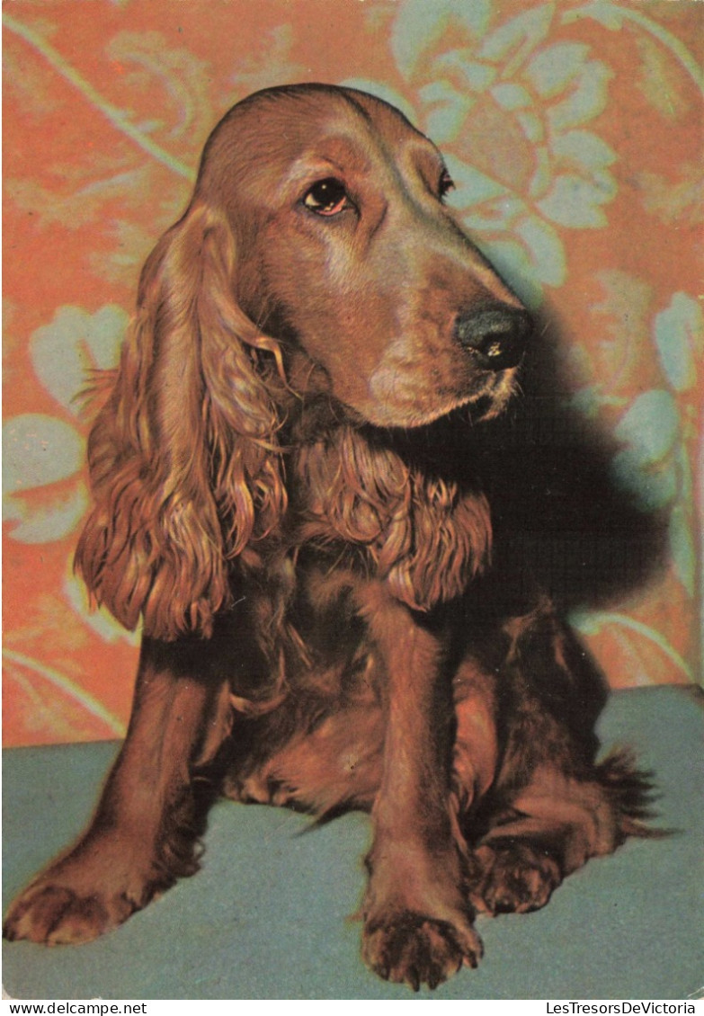 ANIMAUX & FAUNE - Chiens - Carte Postale Ancienne - Honden