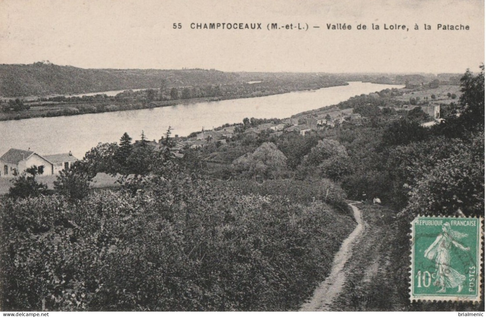 CHAMPTOCEAUX  Vallée De La Loire Et La Patache - Champtoceaux