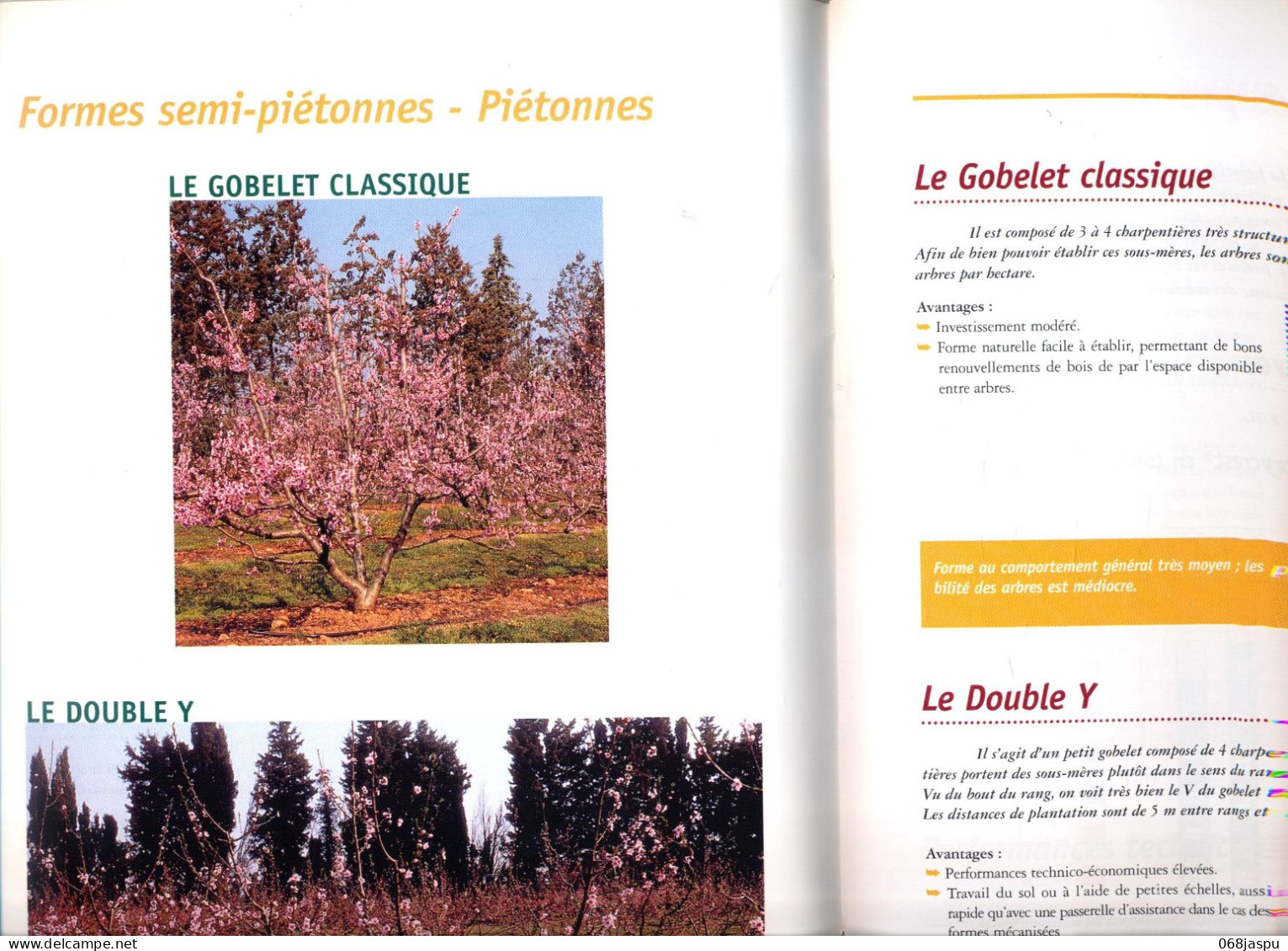 Guide Conduite De Pêcher Serfel - Jardinage