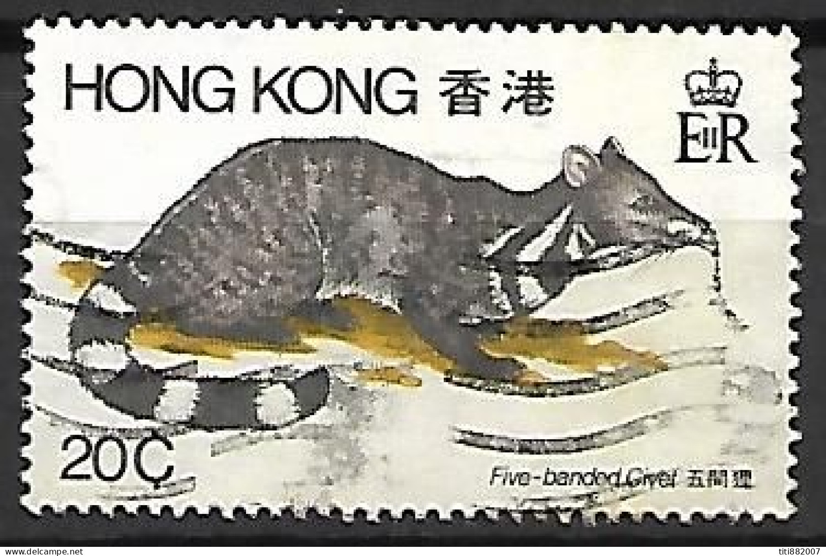 HONG KONG      -     Five-banded Civet    -    Oblitéré - Rodents