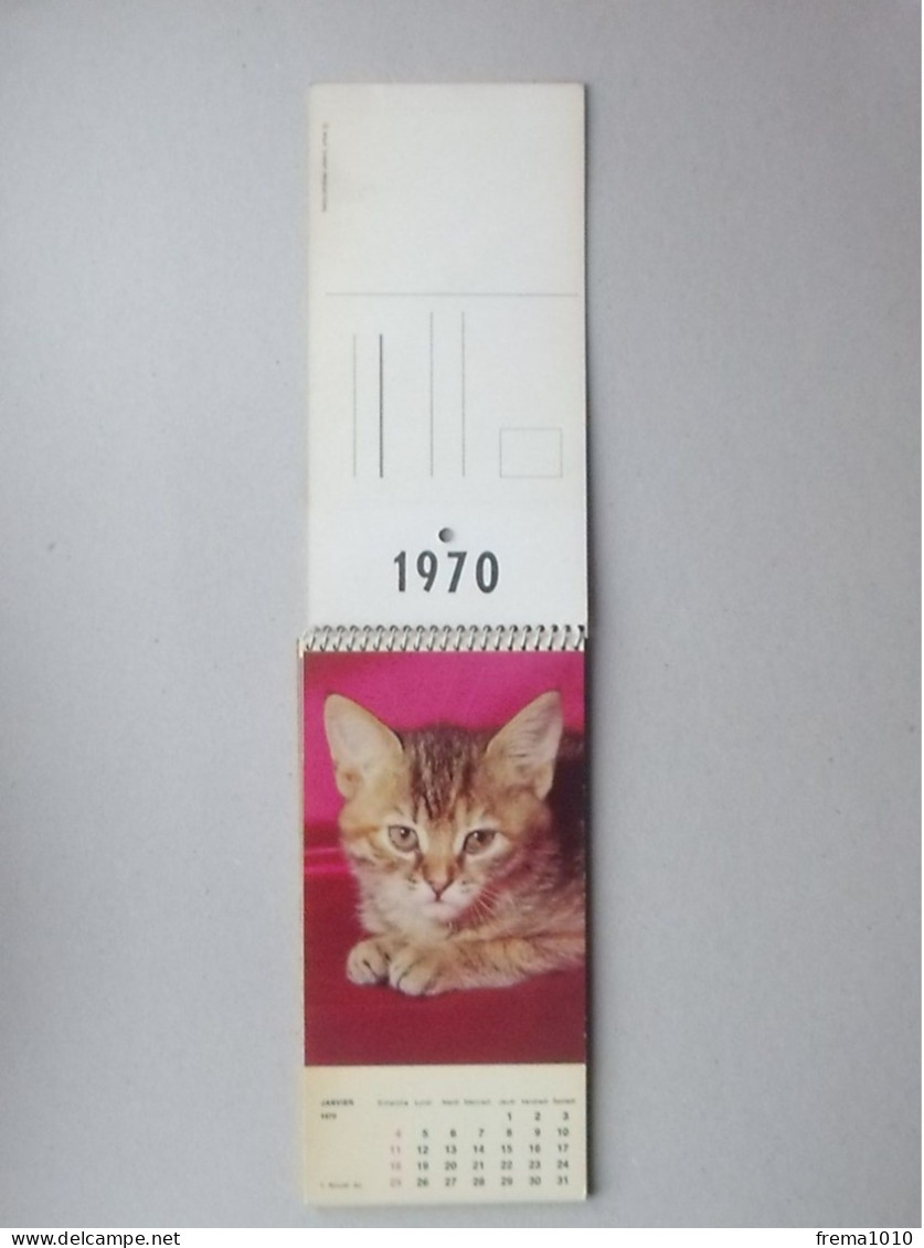 CALENDRIER 1970: Thème LES CHATONS Chaque Mois Est Utilisable En Carte Postale - CHAT  Ed. LYS Belgique Prod. W. DISNEY - Formato Grande : 1961-70