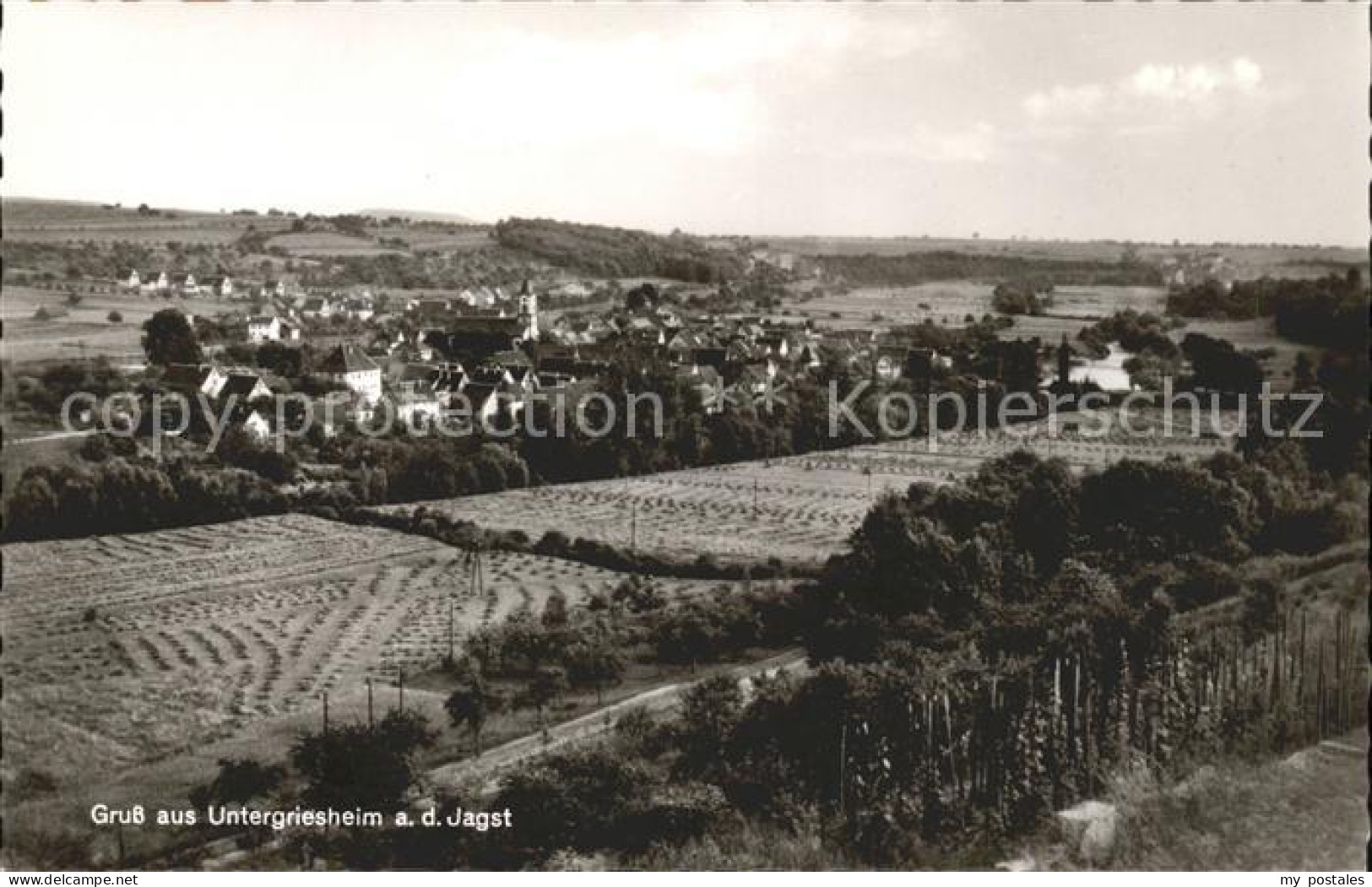 41811505 Untergriesheim Landschaft Untergriesheim - Bad Friedrichshall