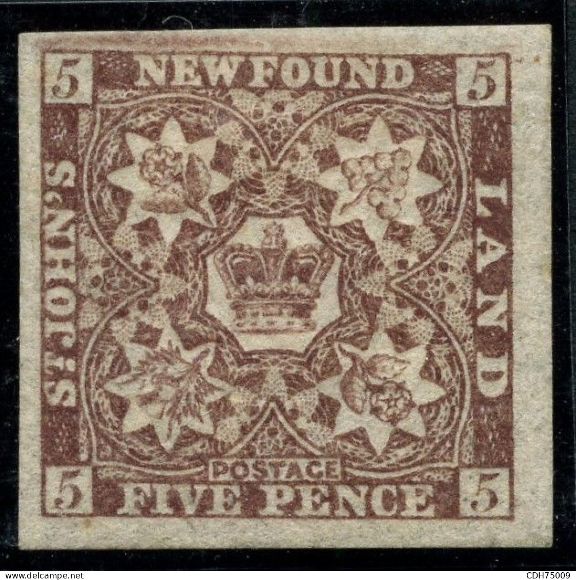 TERRE NEUVE - YVERT 15A - 5 PENCE BRUN PAPIER EPAIS * - 1857-1861