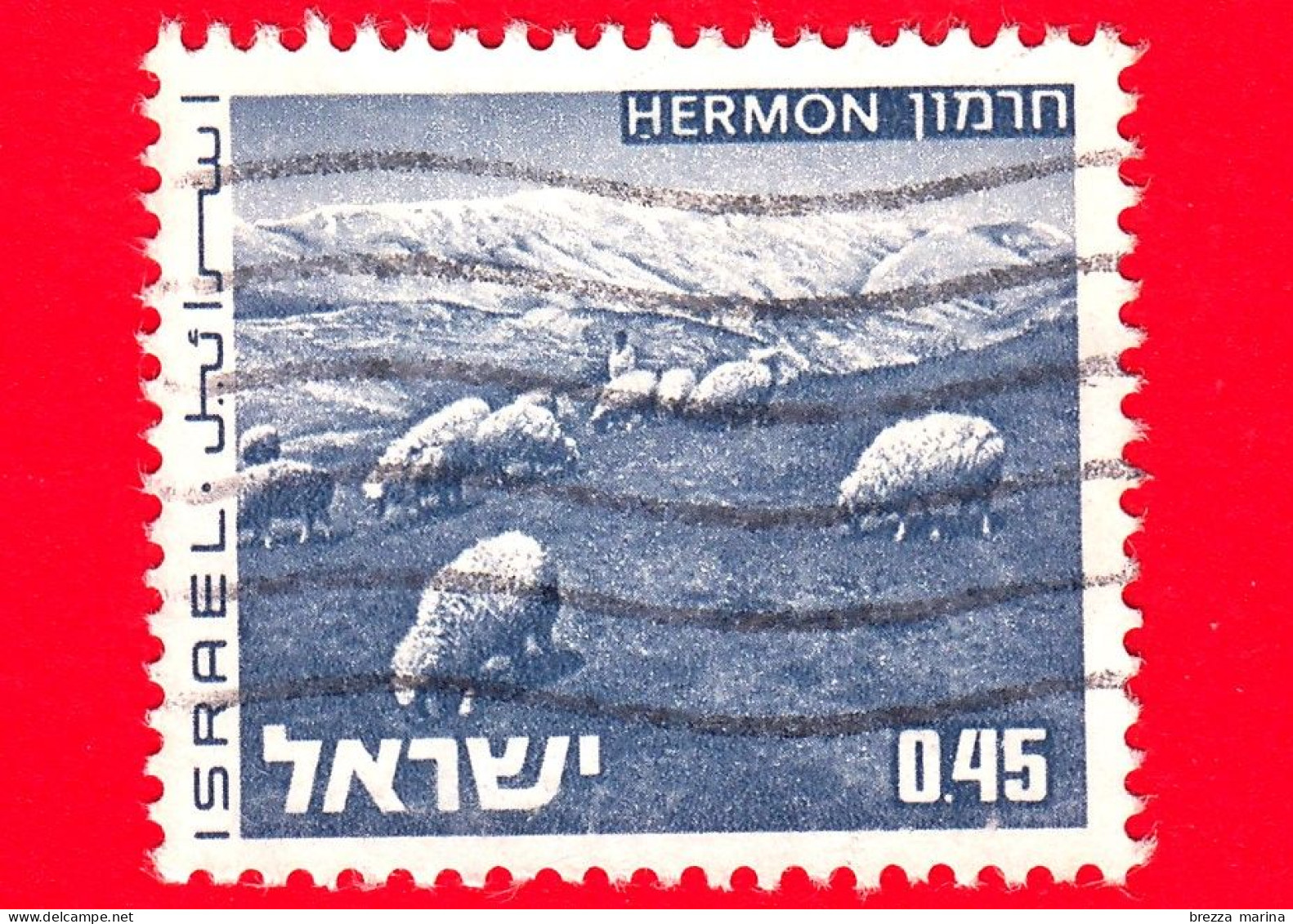 ISRAELE - Usato - 1973 - Paesaggi - Landscapes Of Israel - Monte Hermon - Pecore - 0.45 - Gebraucht (ohne Tabs)