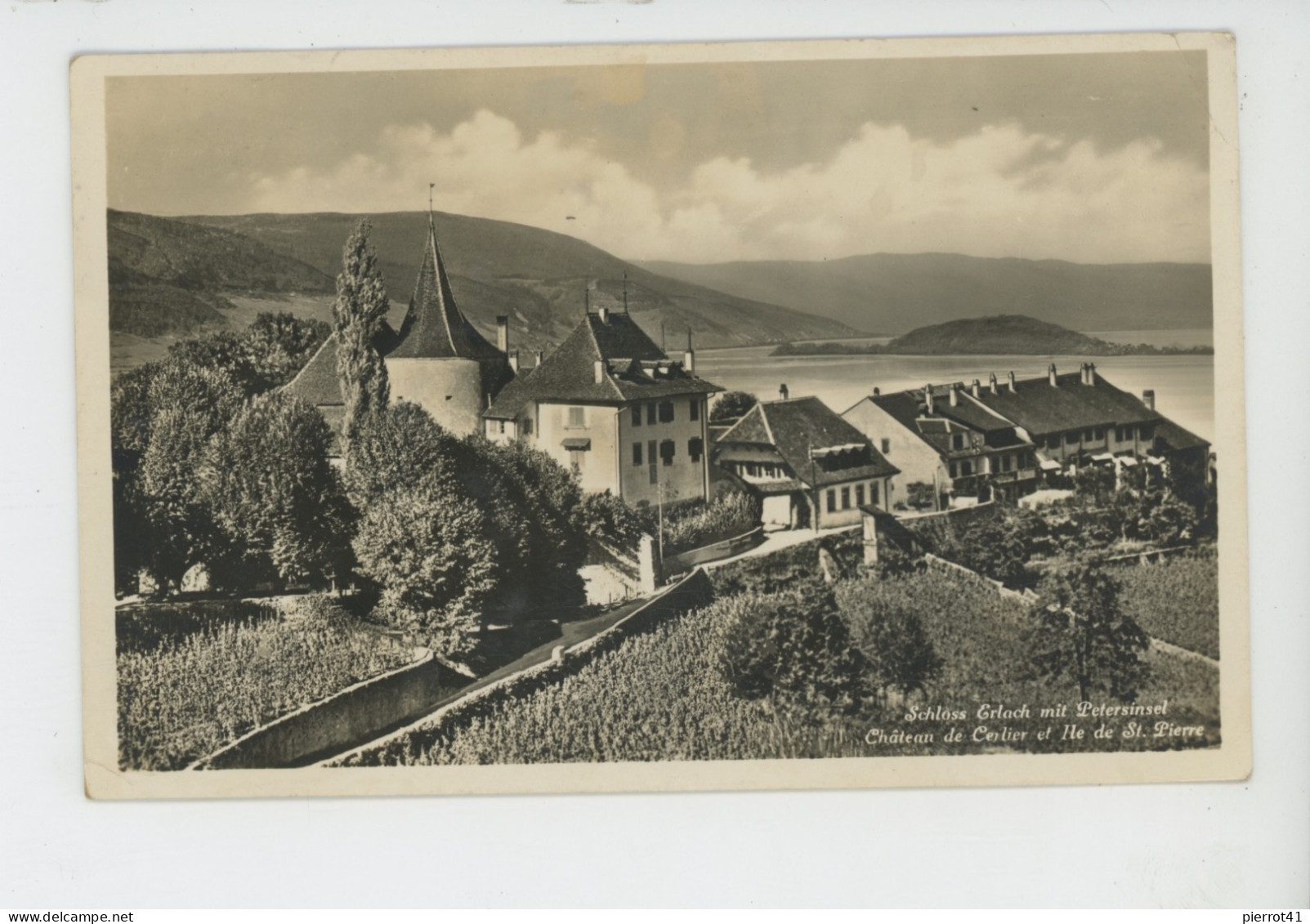 SUISSE - BERNE - ERLACH - Château De CERLIER Et Ile De St. Pierre - Cerlier