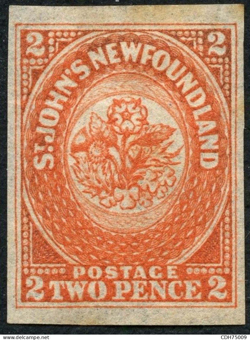 TERRE NEUVE - YVERT 10 - 2 PENCE ORANGE NEUF SANS GOMME SIGNE BRUN (*) - 1857-1861