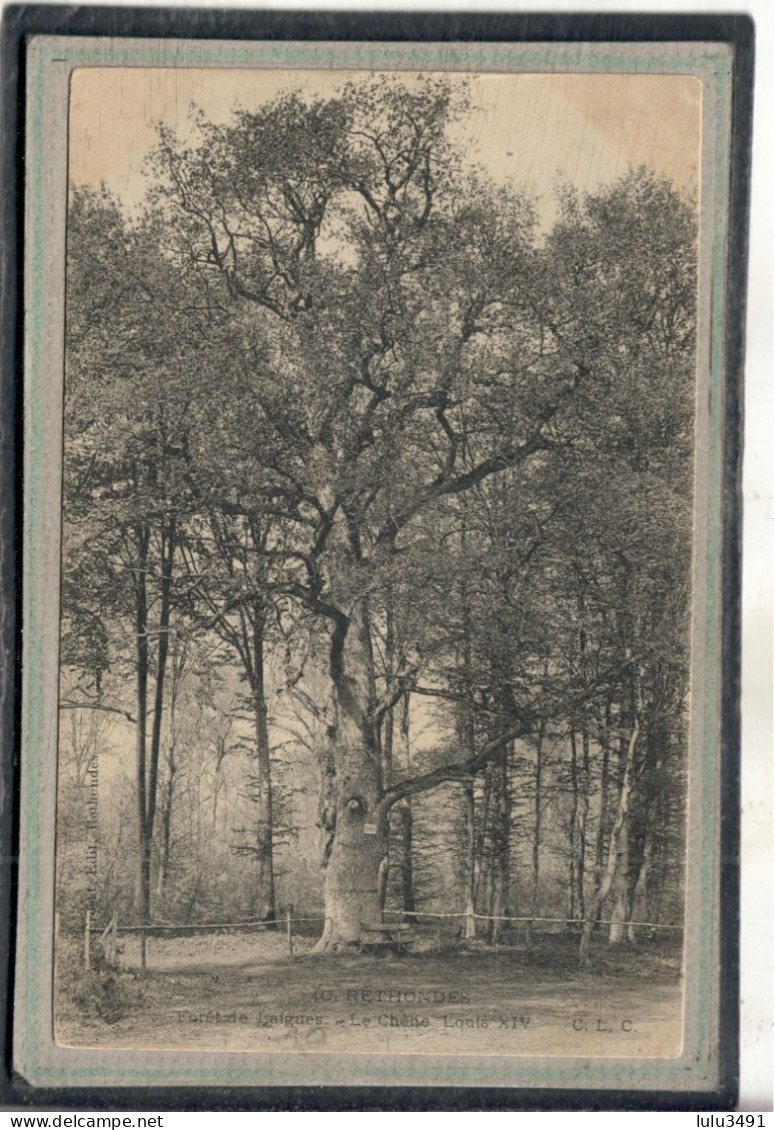 CPA (60) RETHONDES - Thème: ARBRE - Le Chêne Louis XIV De La Forêt De Laignes En 1906 - Rethondes