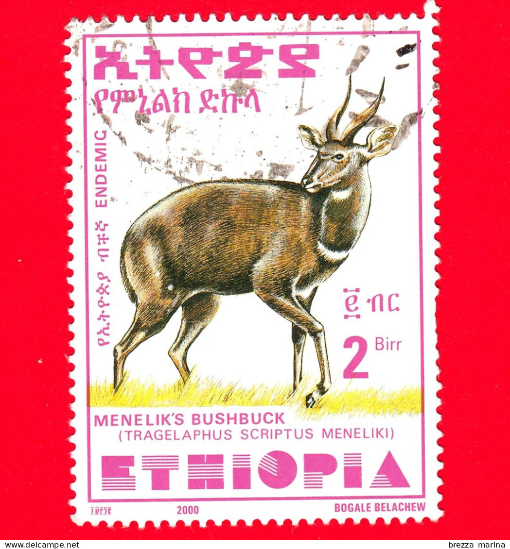 ETIOPIA - Usato - 2000 - Tragelafo Striato - Antilopi - Menelik's Bushbuck - 2- Form. 35 X 47 Millimetri - Etiopia