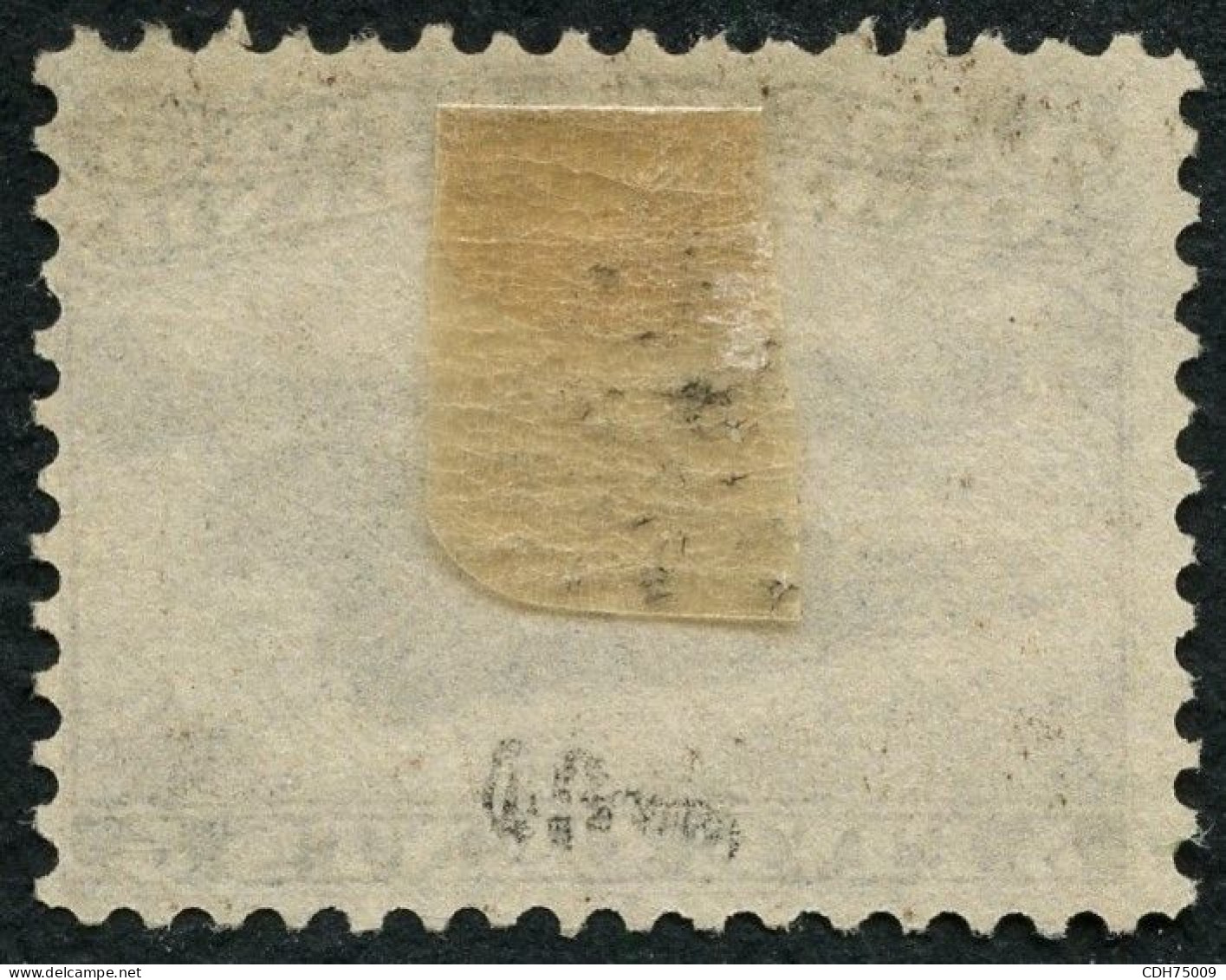 TERRE NEUVE - YVERT 22 - 5 CENTS BRUN SANS GOMME SIGNE BRUN (*) - 1857-1861