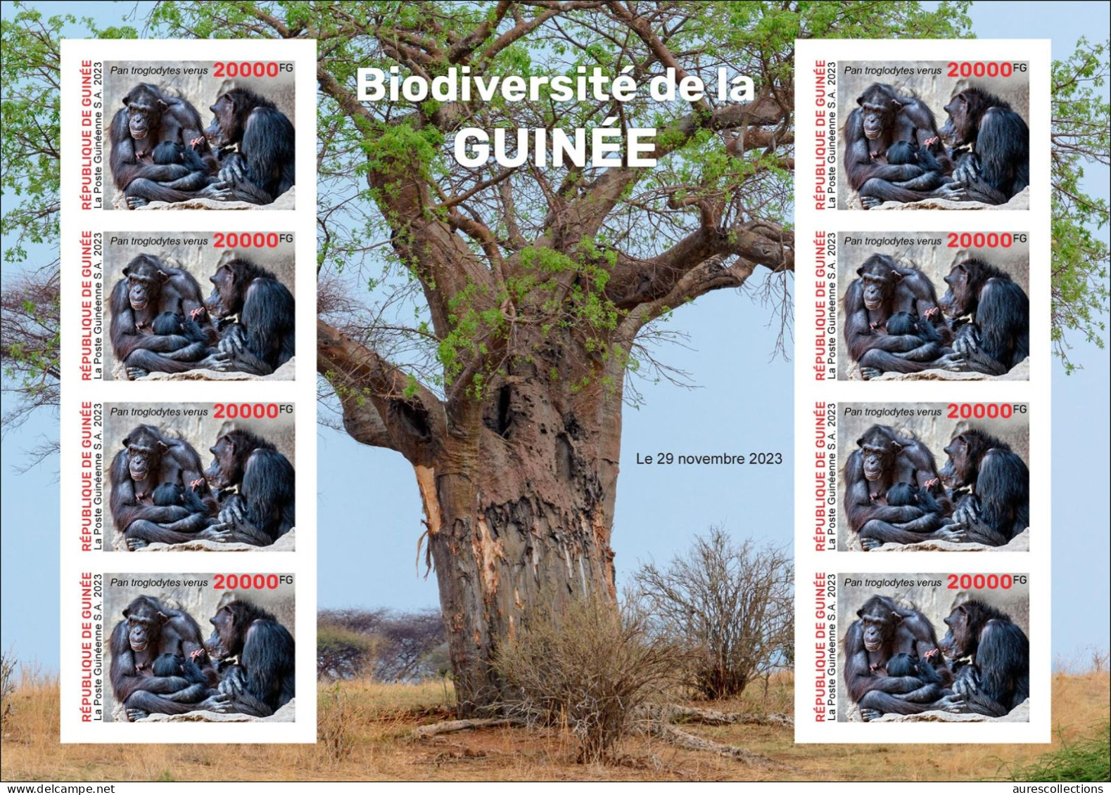 GUINEA 2023 - IMPERF M/S 8V - BIODIVERSITY - CHIMPANZEE CHIMPANZEES CHIMPANZE APES MONKEYS MONKEY APE SINGES - MNH - Chimpancés