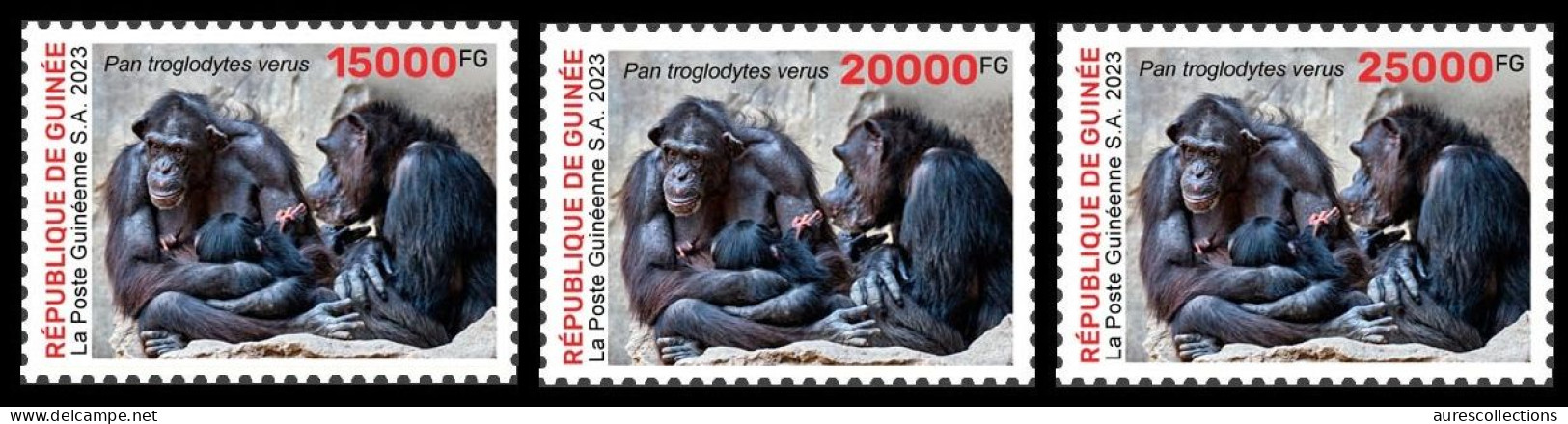 GUINEA 2023 - SET 3V - BIODIVERSITY - CHIMPANZEE CHIMPANZEES CHIMPANZE APES MONKEYS MONKEY APE SINGES - Chimpanzees