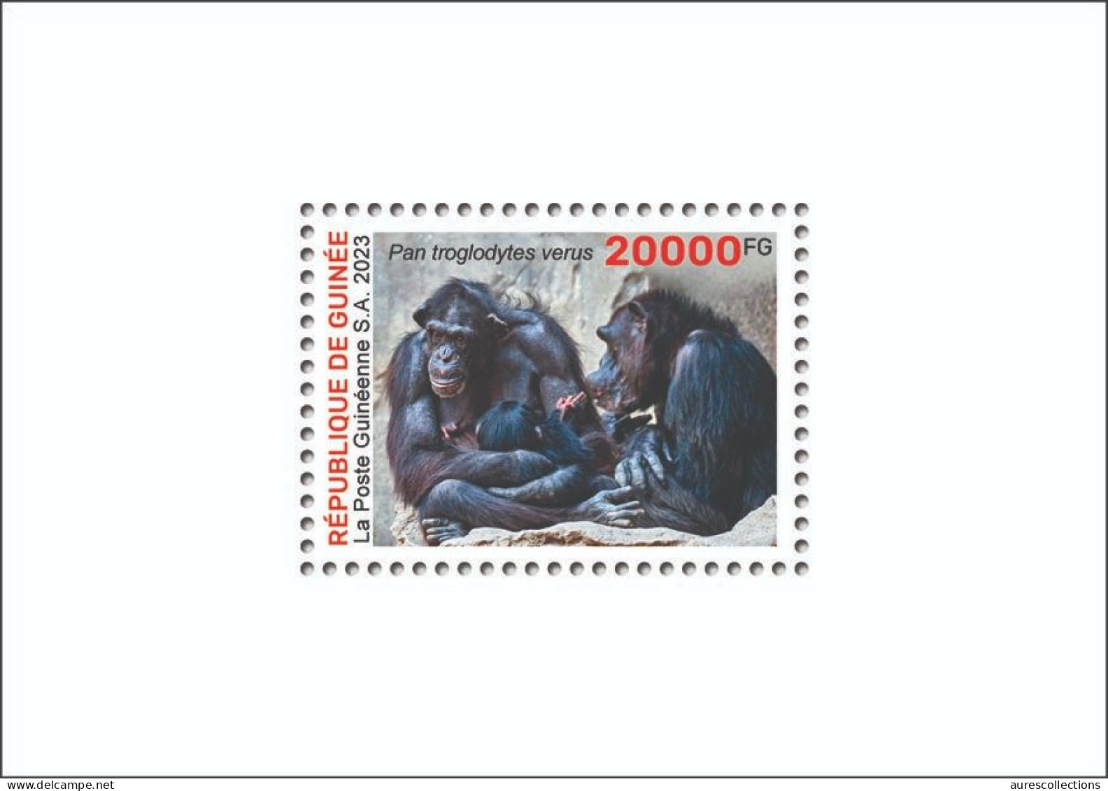 GUINEA 2023 - SHEET 1V - BIODIVERSITY - CHIMPANZEE CHIMPANZEES CHIMPANZE APES MONKEYS MONKEY APE SINGES - LUXE MNH - Chimpancés