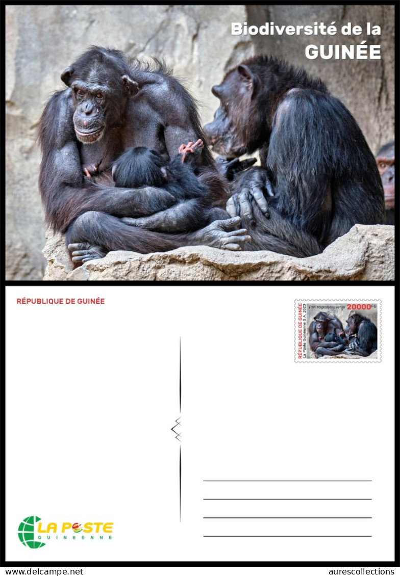 GUINEA 2023 - STATIONERY CARD - BIODIVERSITY - CHIMPANZEE CHIMPANZEES CHIMPANZE APES MONKEYS MONKEY APE SINGES - Schimpansen
