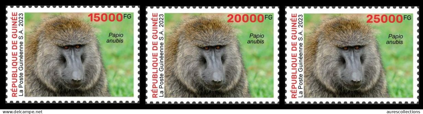 GUINEA 2023 - SET 3V - BIODIVERSITY - APE APES MONKEYS MONKEY BABOON SINGES SINGE - MNH - Apen