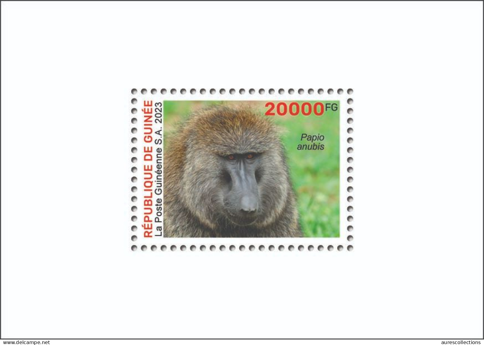 GUINEA 2023 - SHEET 1V - BIODIVERSITY - APE APES MONKEYS MONKEY BABOON SINGES SINGE - LUXE MNH - Apen