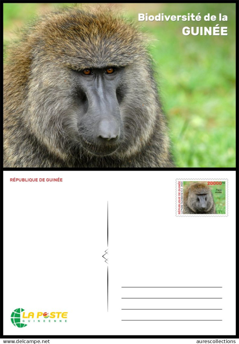 GUINEA 2023 - STATIONERY CARD - BIODIVERSITY - APE APES MONKEYS MONKEY BABOON SINGES SINGE - Apen