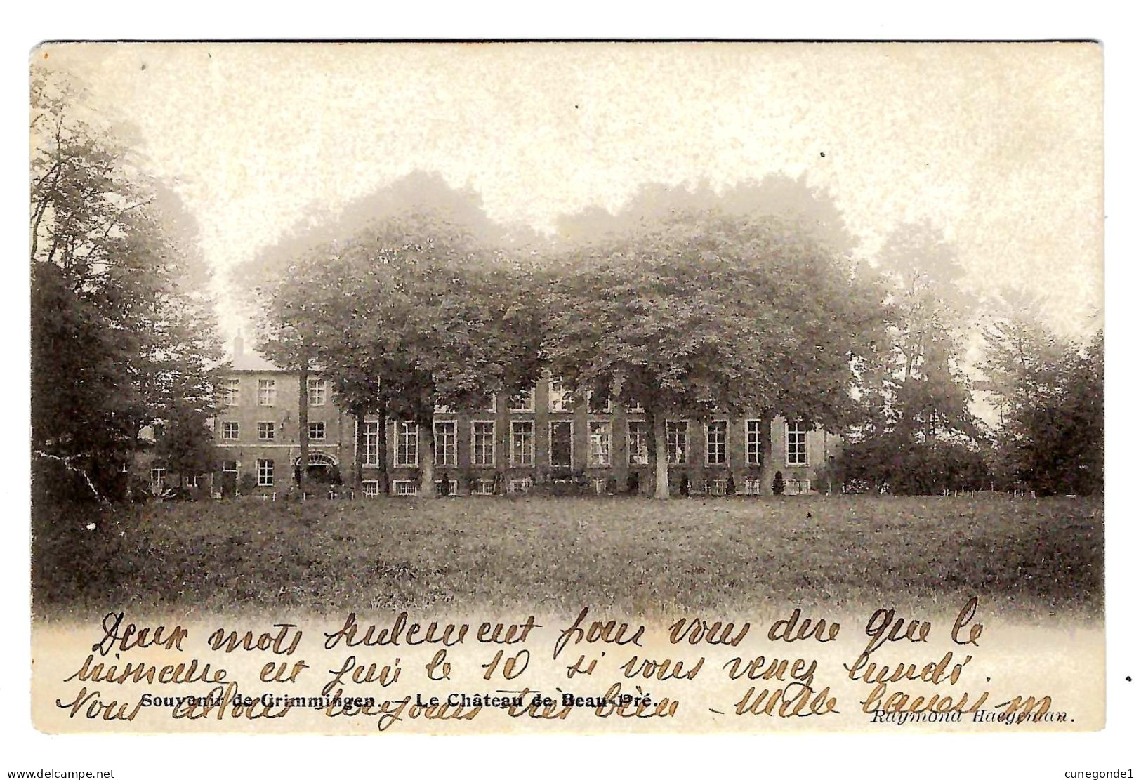 CPA Souvenir GRIMMINGEN : Château De Beau Pré - Gelopen Zonder Zegel - R. Haegeman - 2 Scans - Geraardsbergen